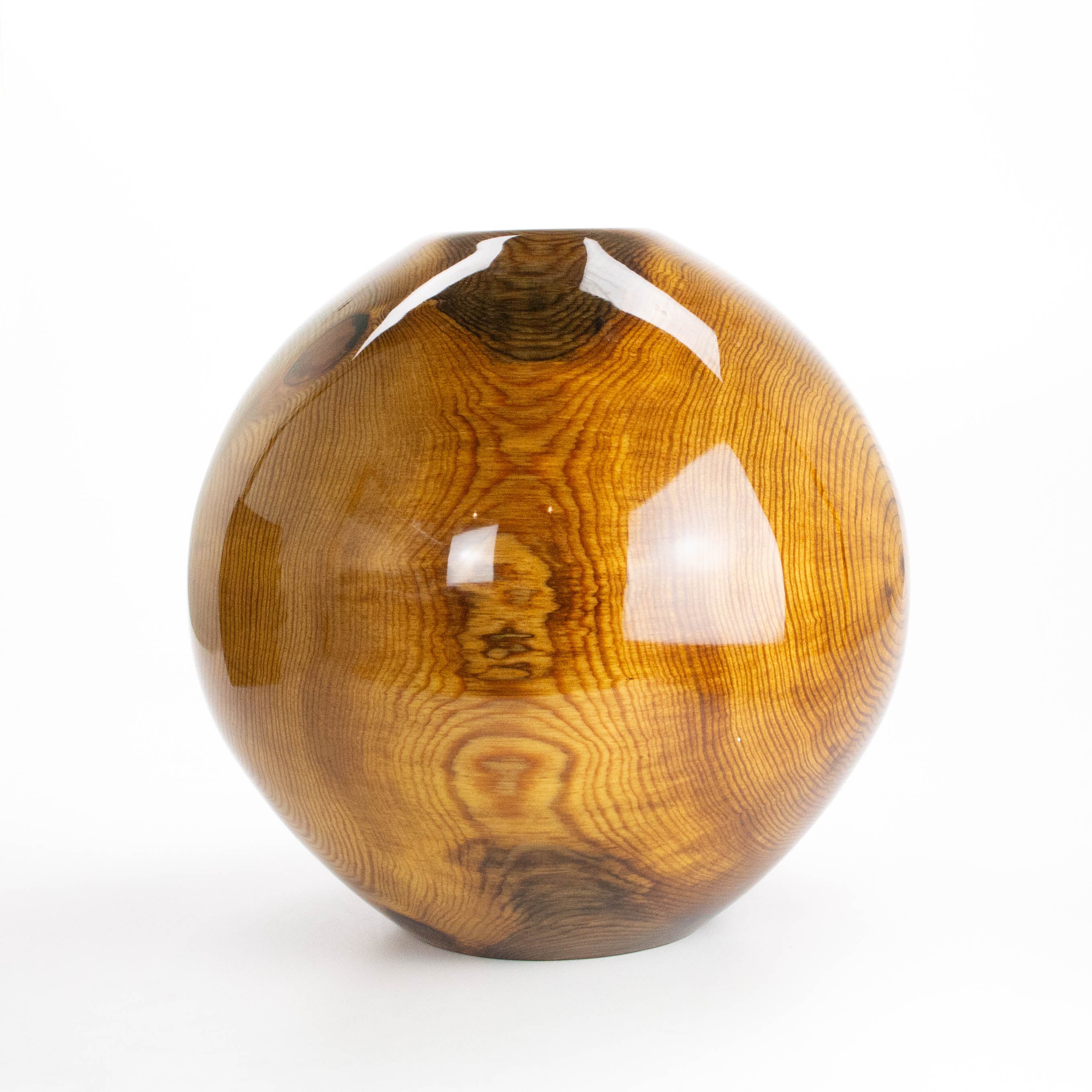 Slash Pine 14.5 x 15”