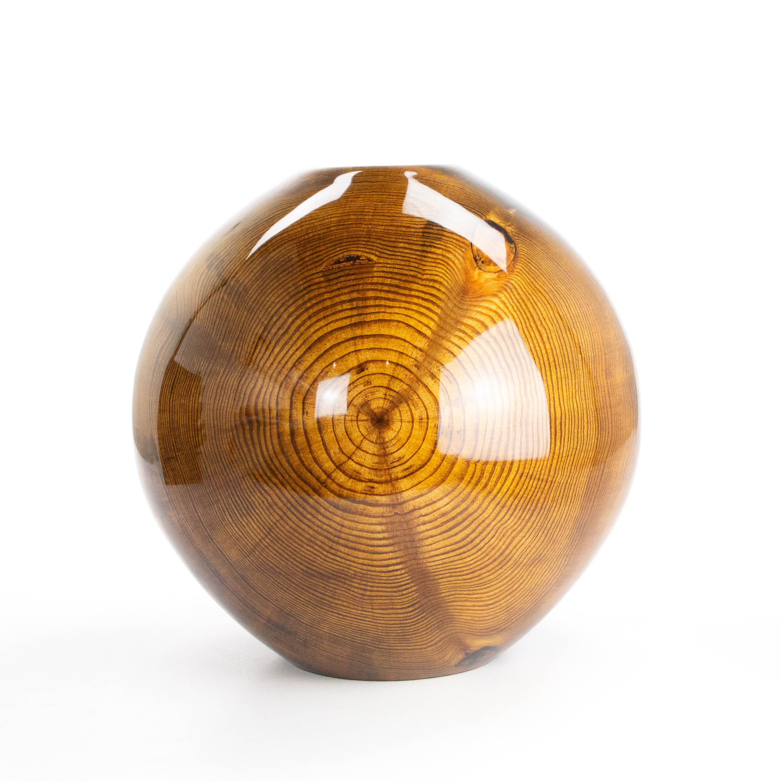 Slash Pine 14.5 x 15”