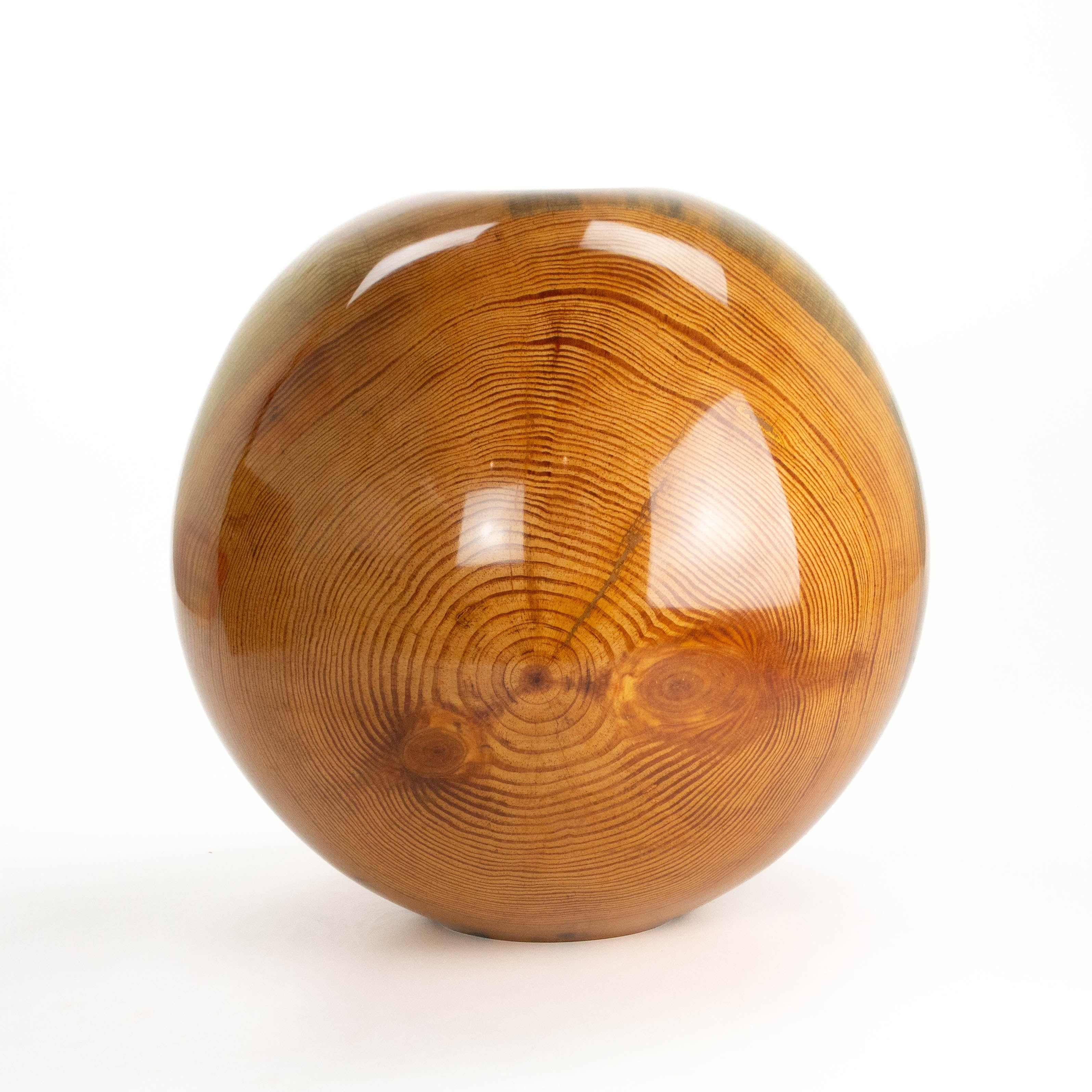 Loblolly Pine 14 x 14.5"