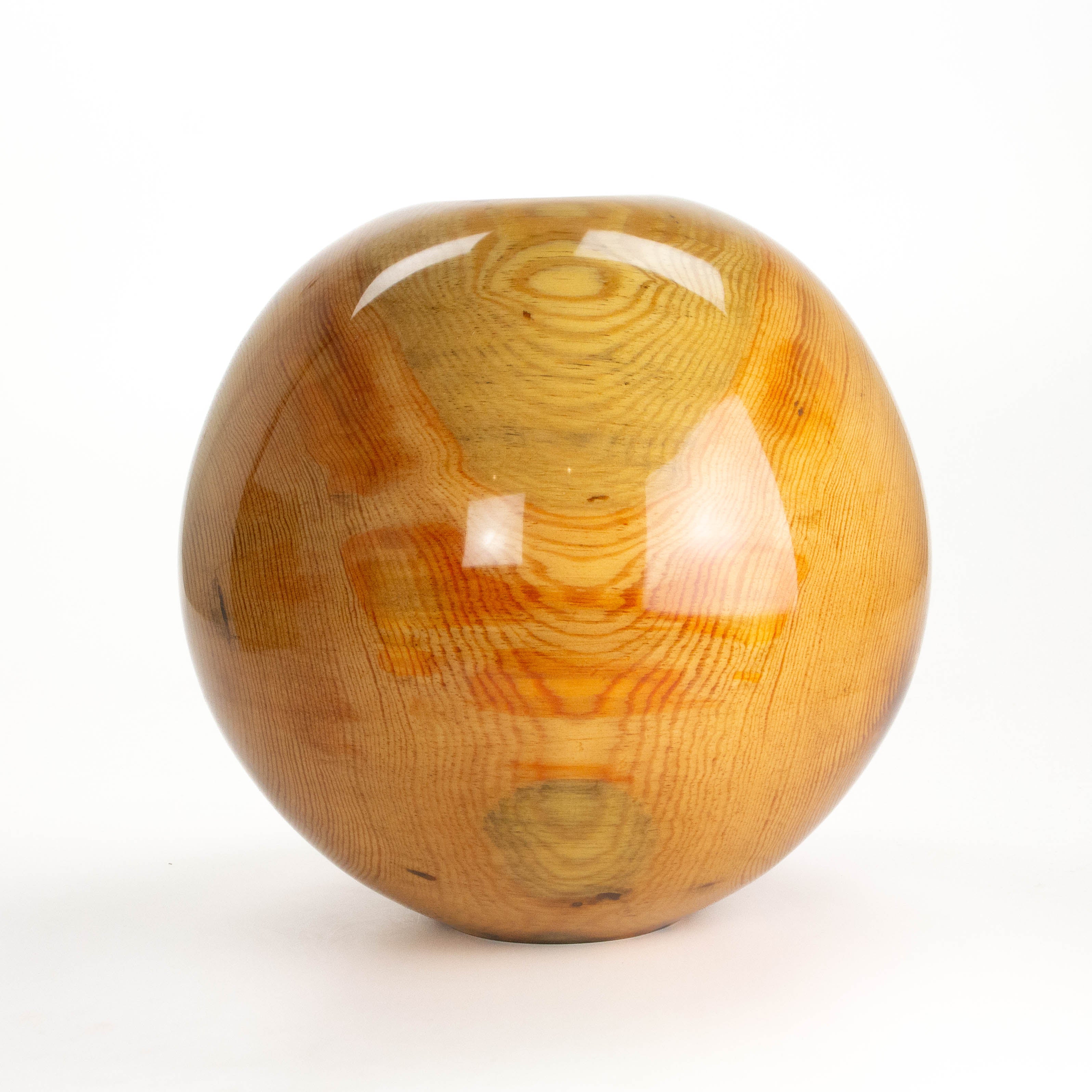 Loblolly Pine 14 x 14.5"