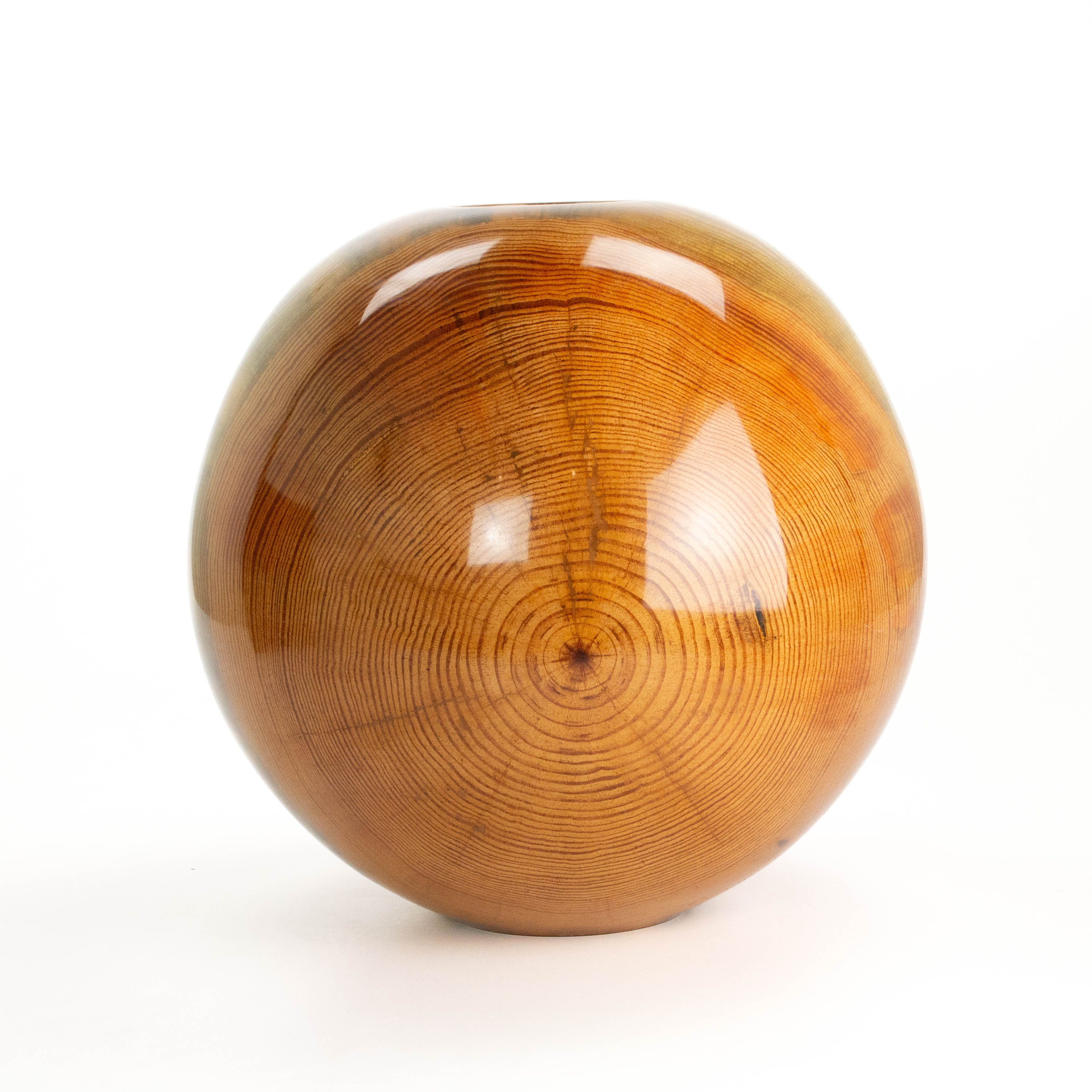 Loblolly Pine 14 x 14.5"