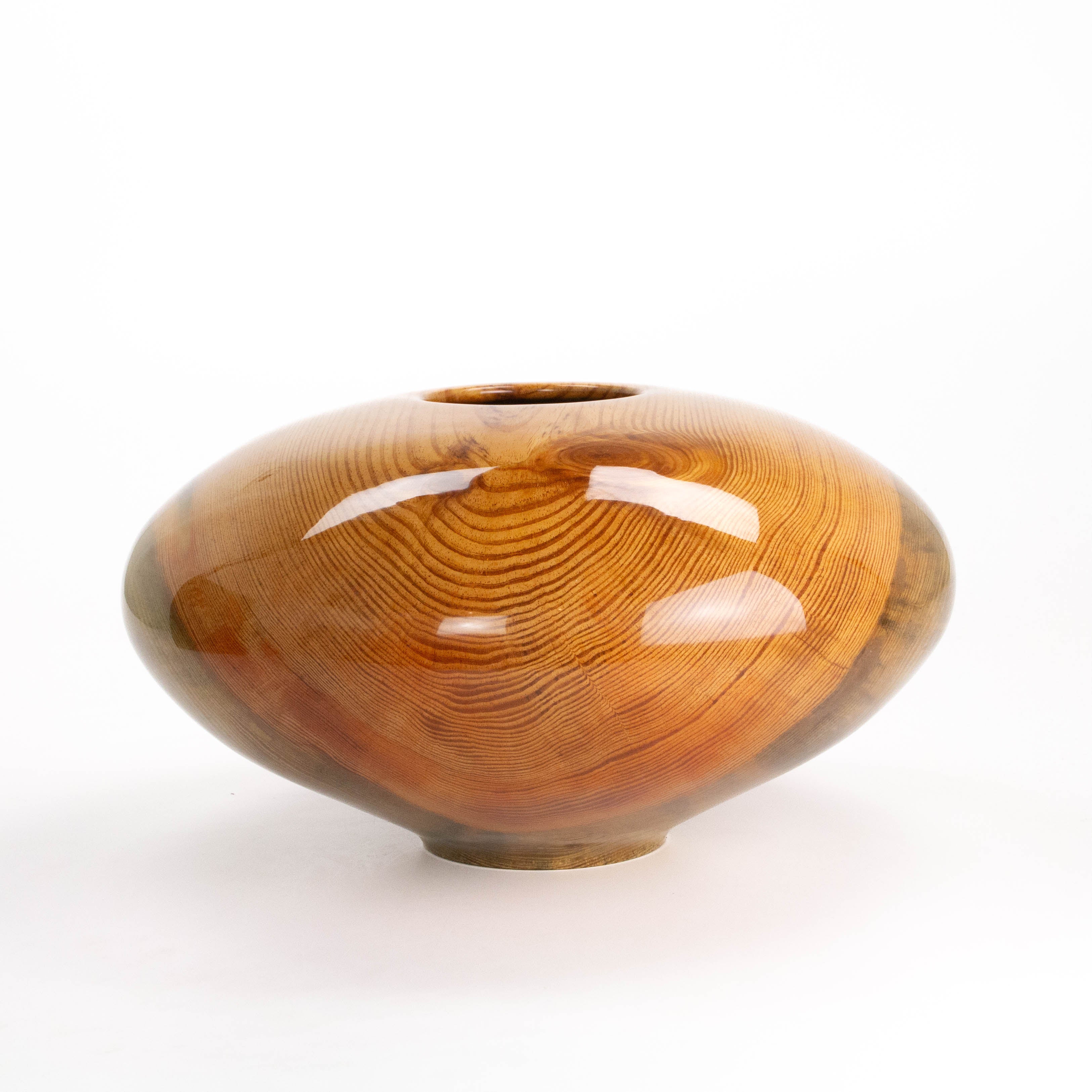 Loblolly Pine 9 x 16.5"