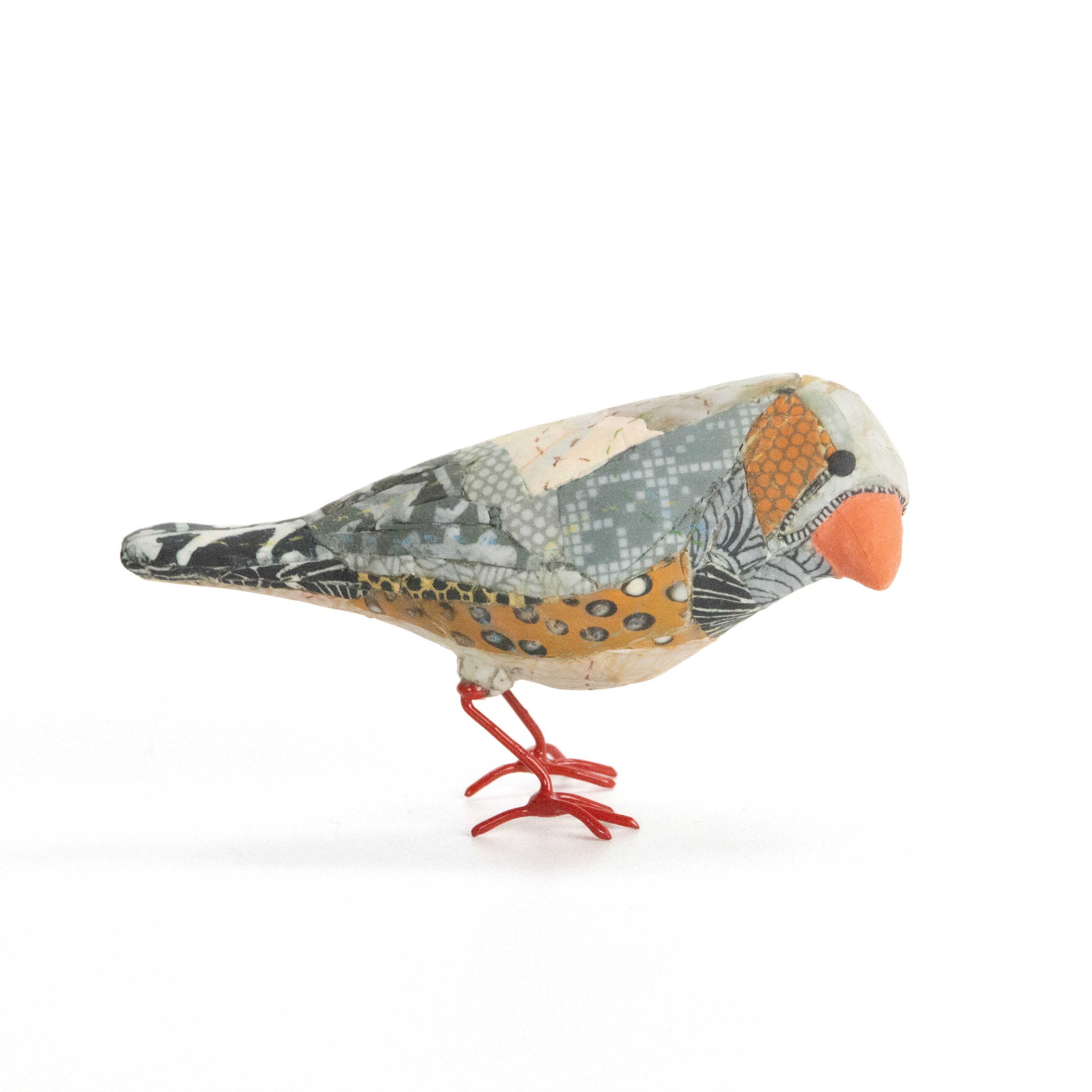 Zebra Finch