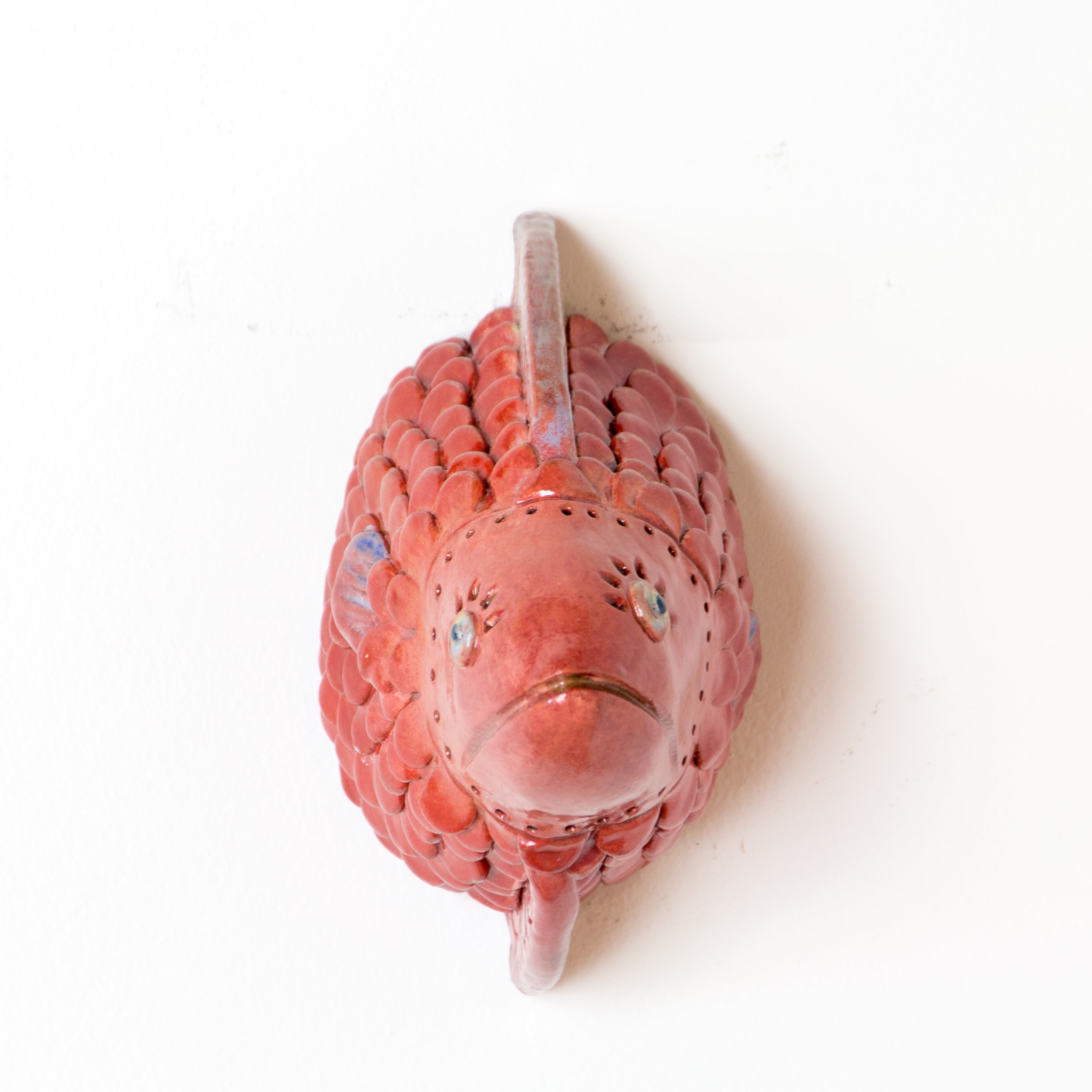 Roly Poly Fish Head