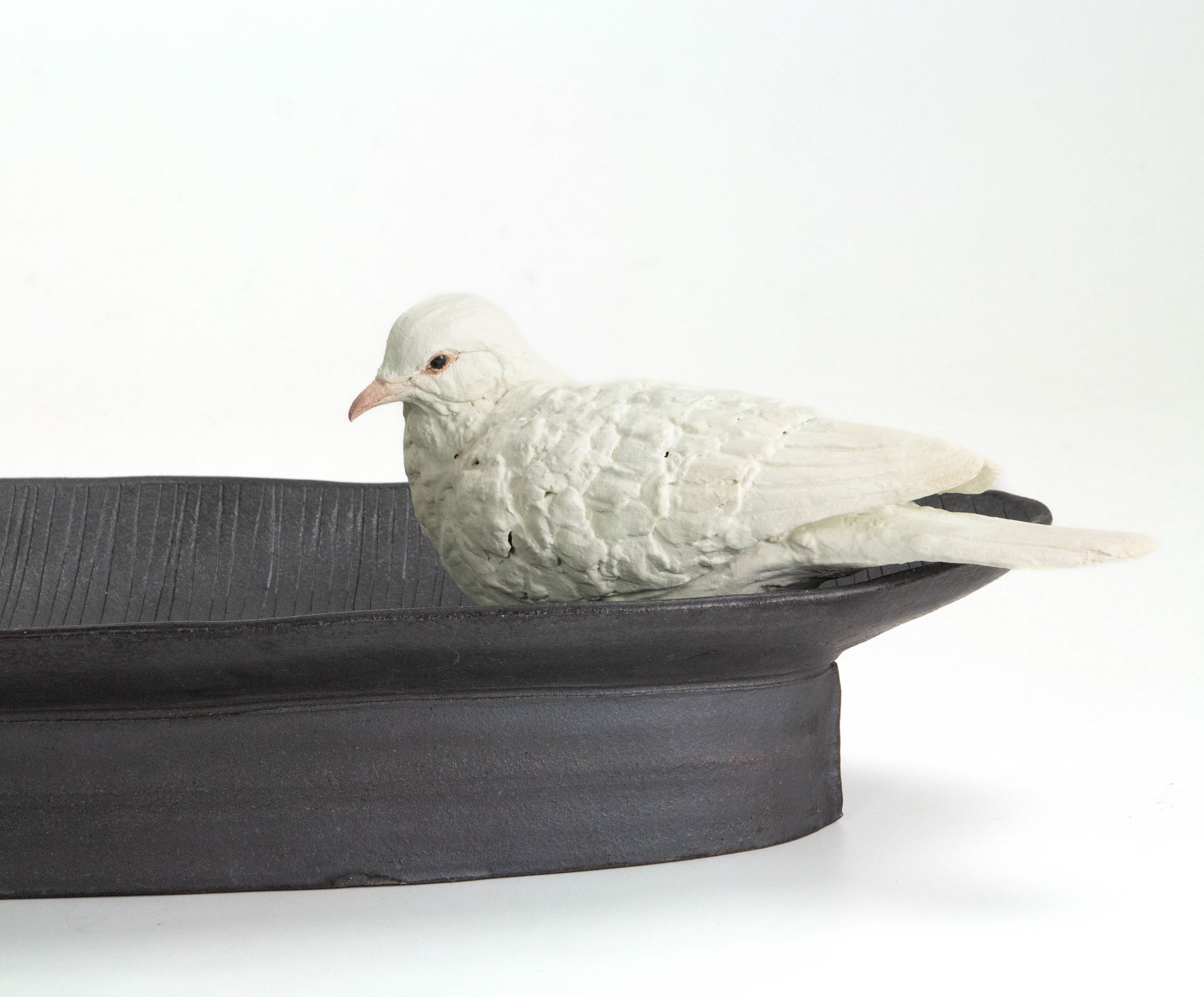 Dove Perched on Tray