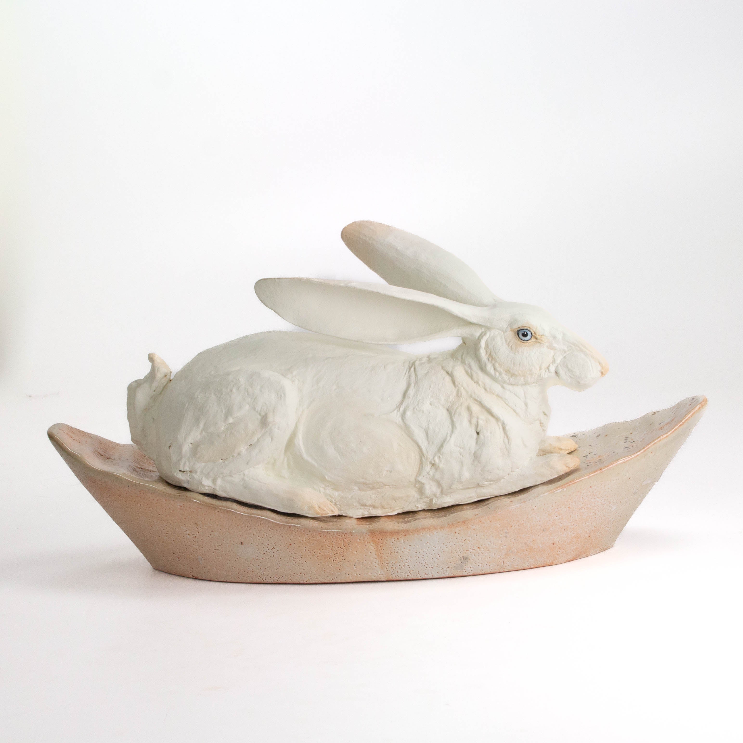 Hare in Boat