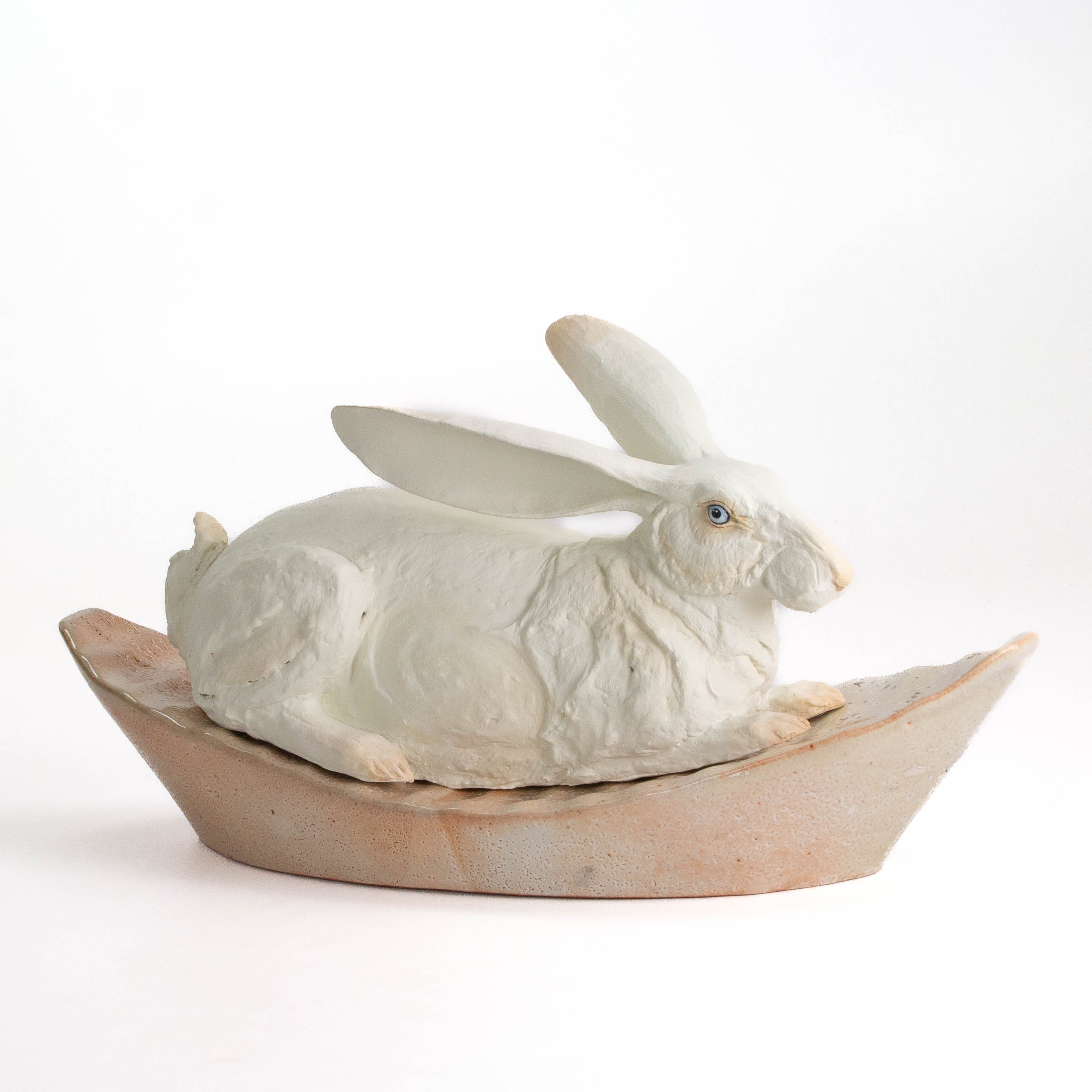 Hare in Boat