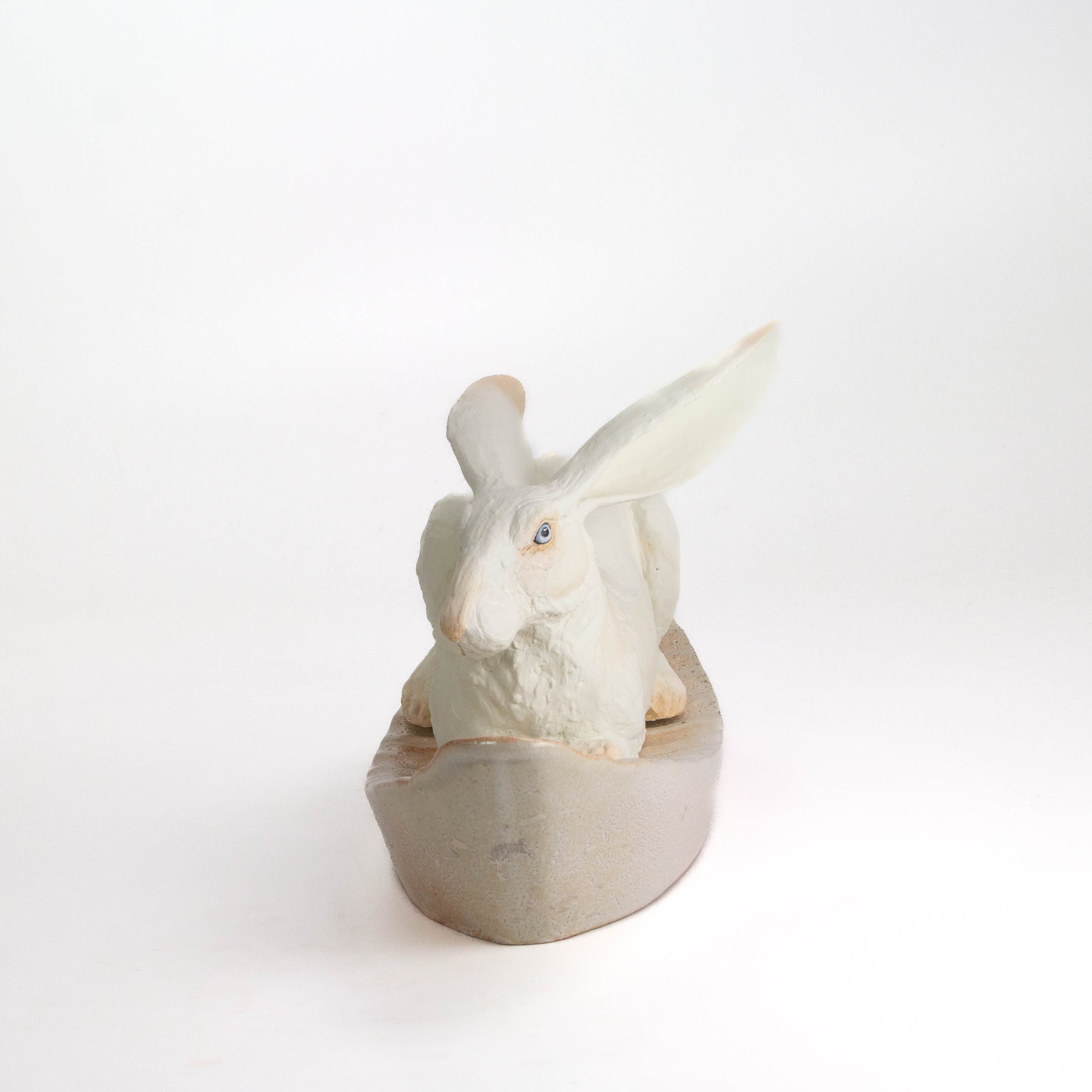 Hare in Boat