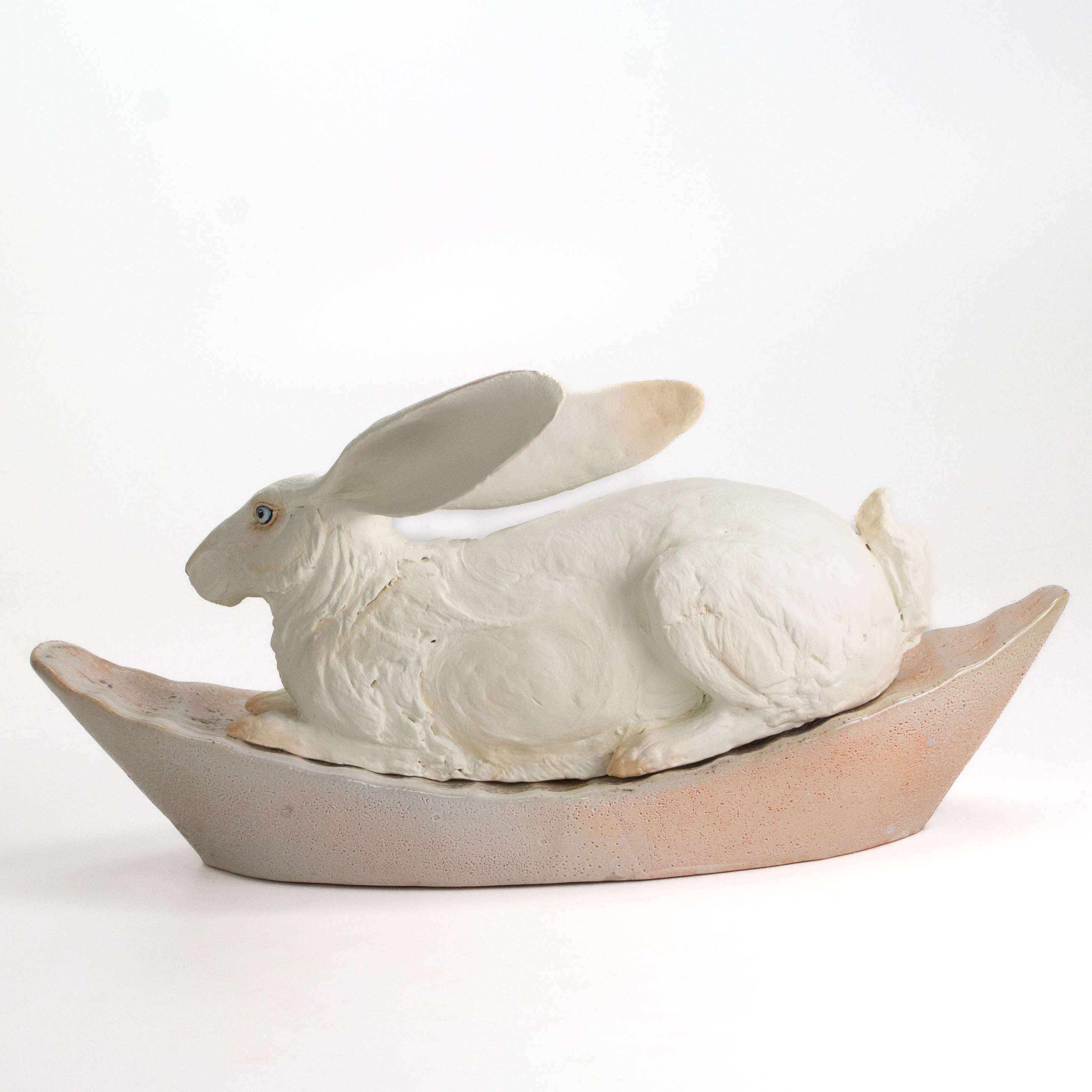 Hare in Boat