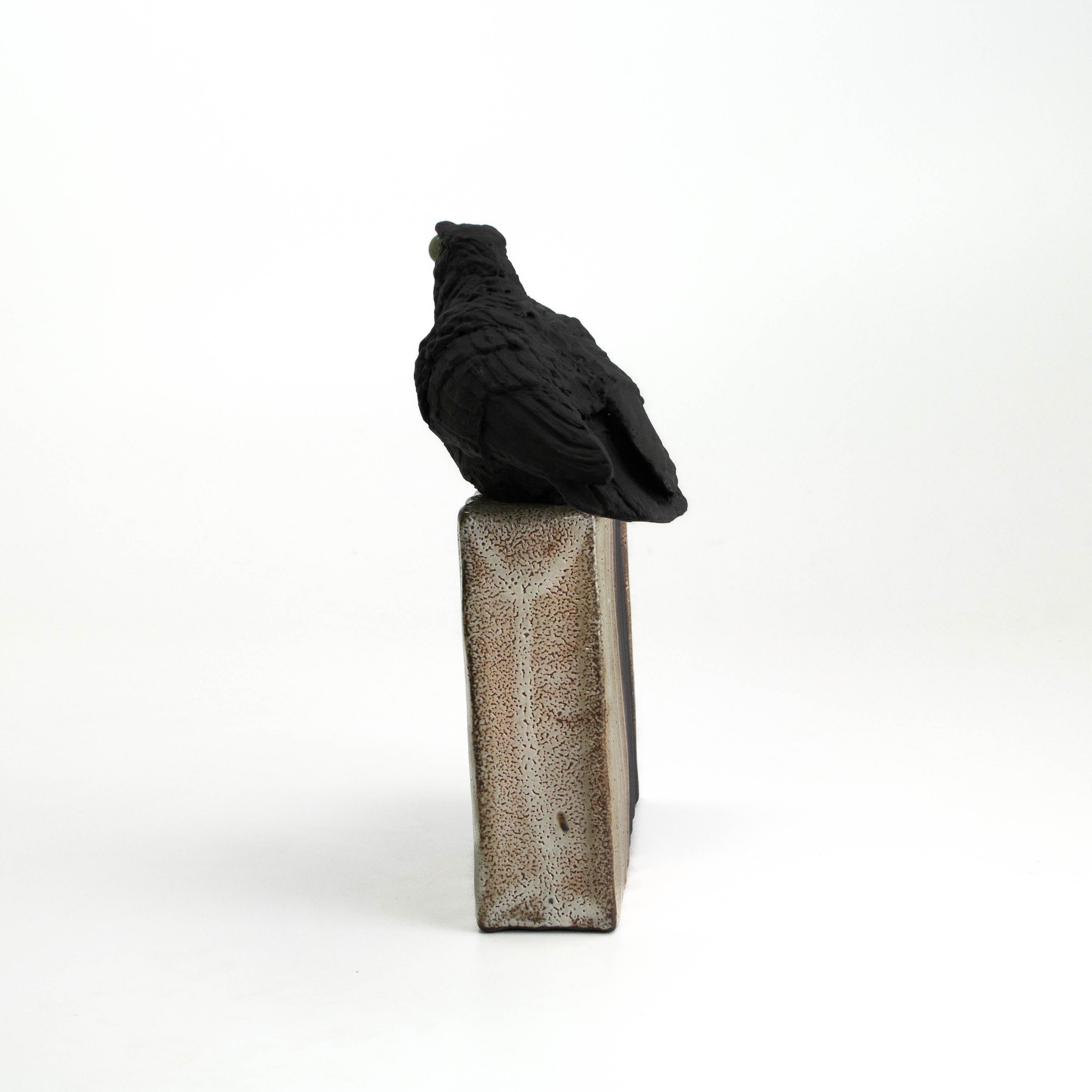 Raven Perched on Vase