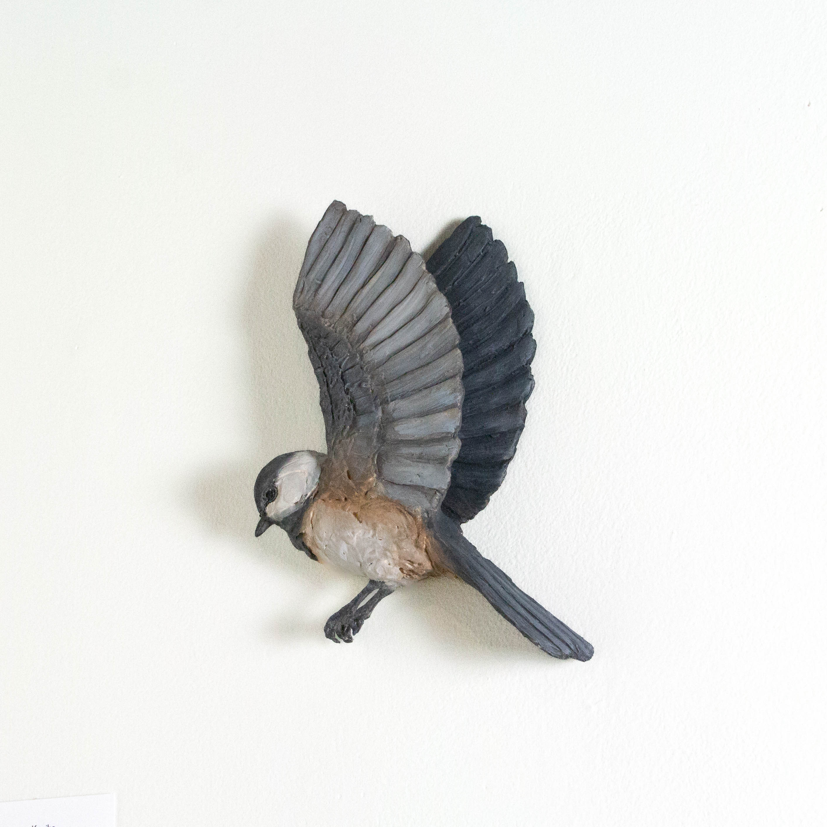 Chickadee in Flight