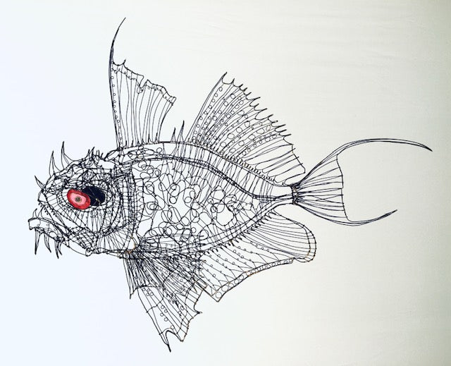 Sculpin Fish