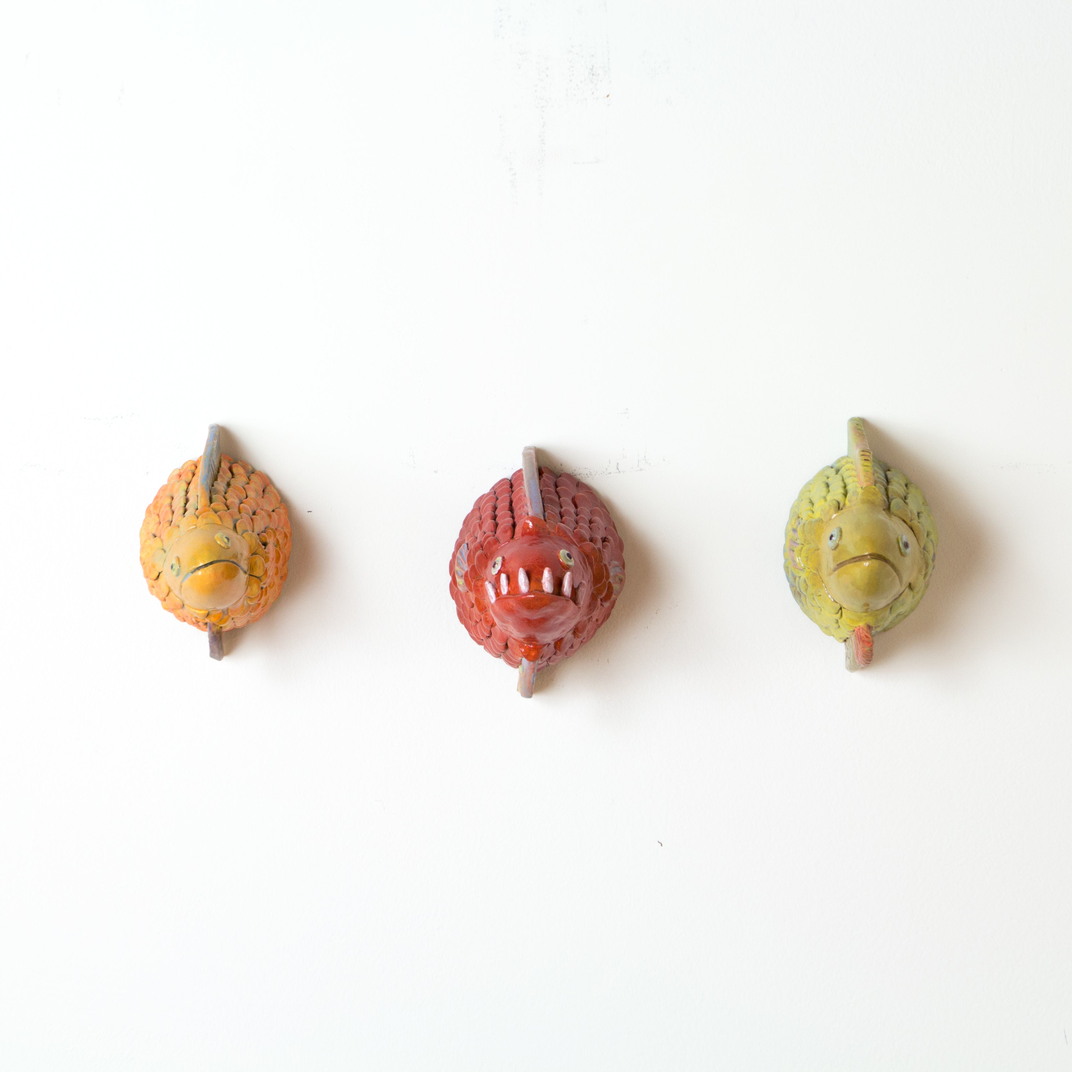 Roly Poly Fish Head