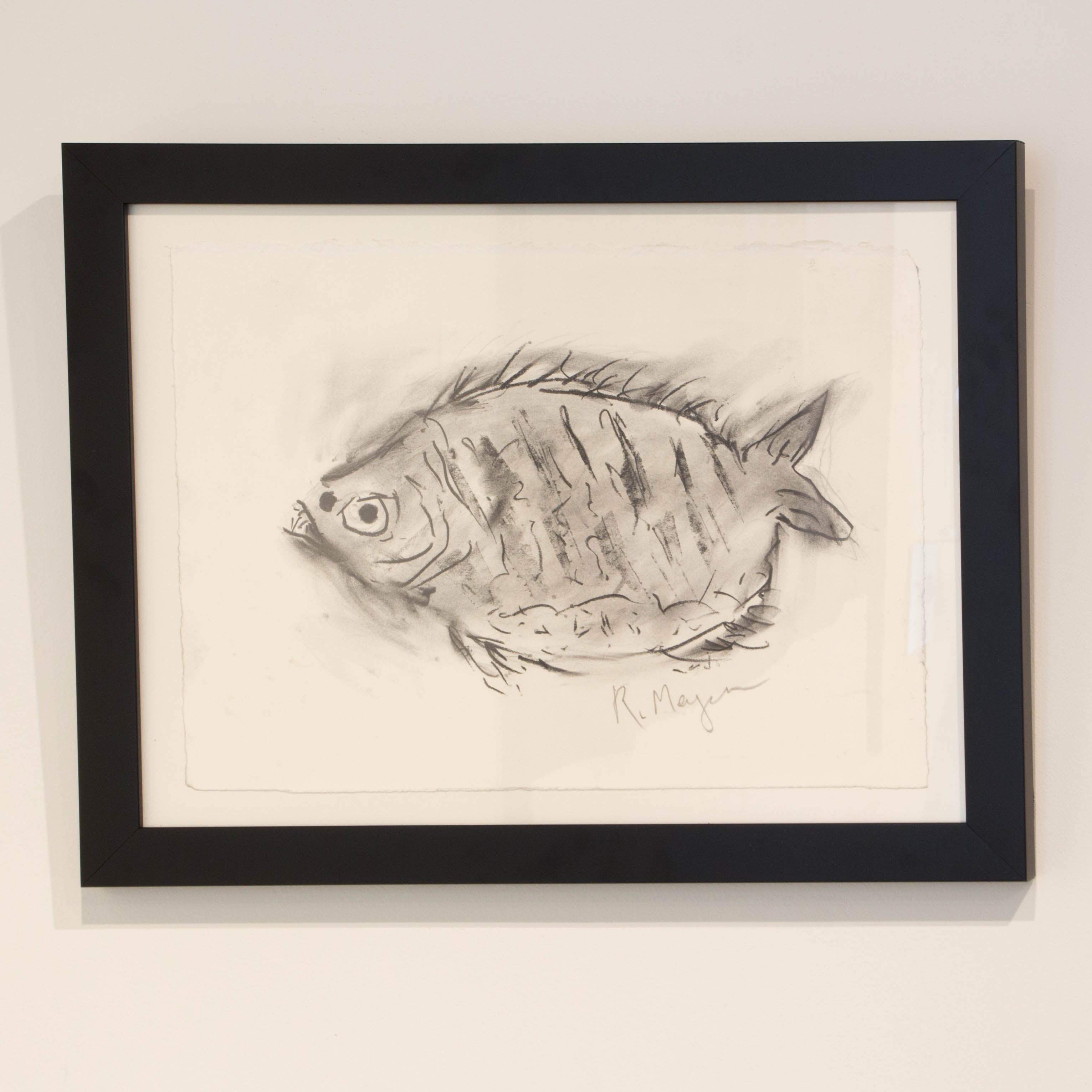 Fish, Framed